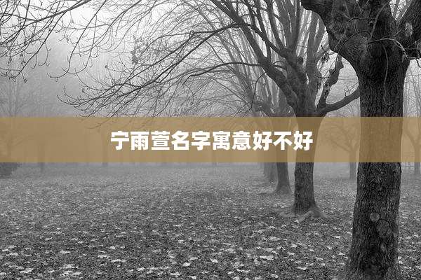 宁雨萱名字寓意好不好