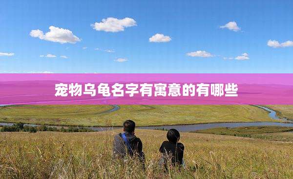 宠物乌龟名字有寓意的有哪些