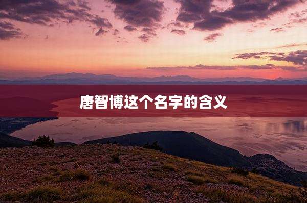 唐智博这个名字的含义