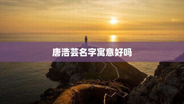 唐浩芸名字寓意好吗