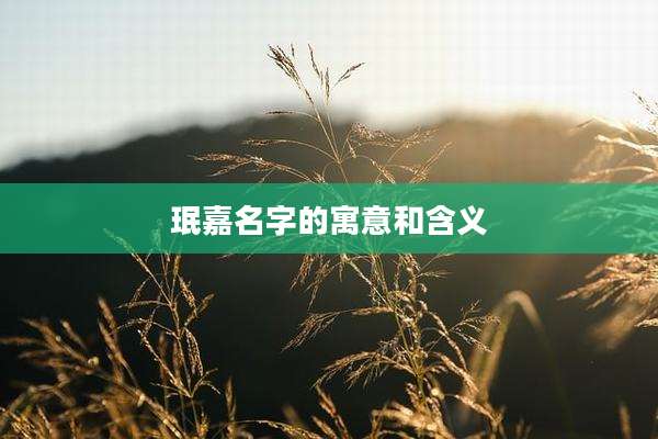 珉嘉名字的寓意和含义