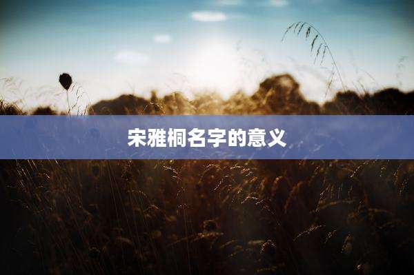 宋雅桐名字的意义