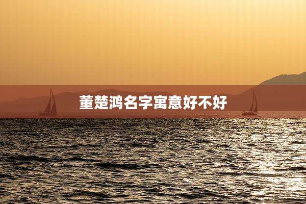 董楚鸿名字寓意好不好