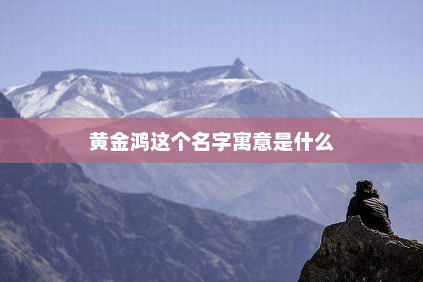 黄金鸿这个名字寓意是什么