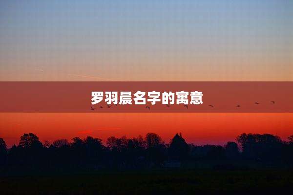 罗羽晨名字的寓意