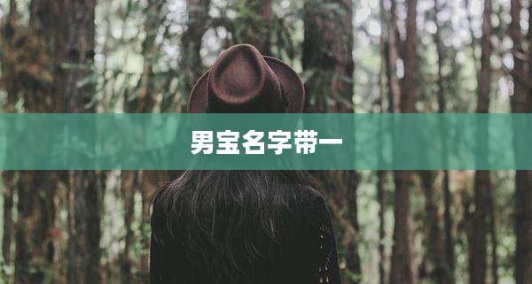 男宝名字带一