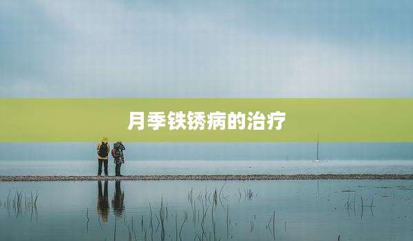 月季铁锈病的治疗