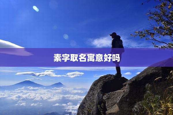 素字取名寓意好吗