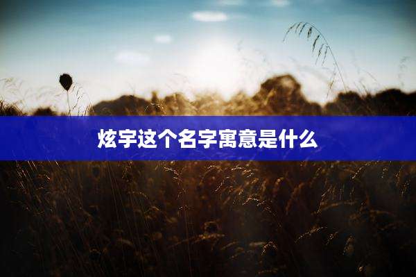 炫宇这个名字寓意是什么