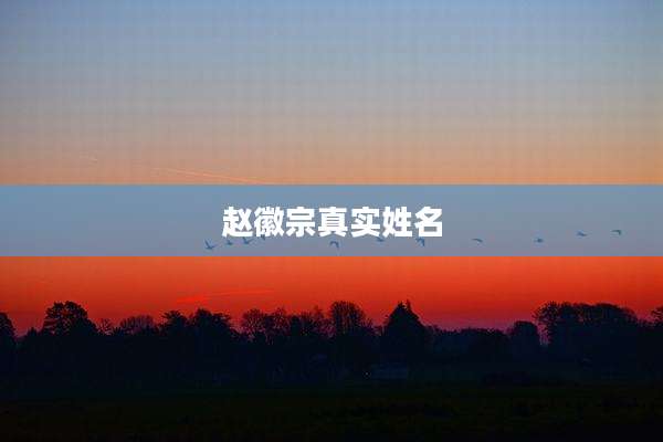 赵徽宗真实姓名