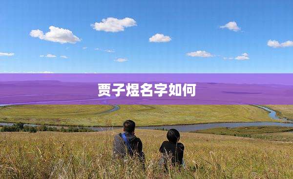 贾子煜名字如何