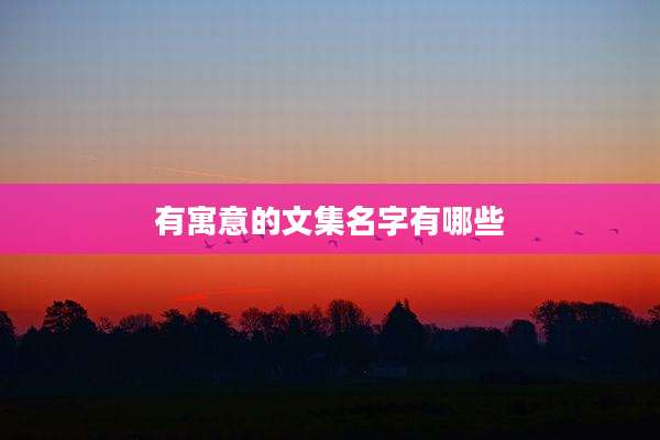 有寓意的文集名字有哪些