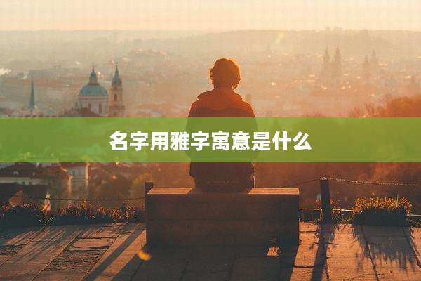 名字用雅字寓意是什么
