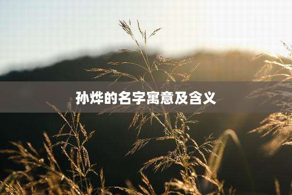 孙烨的名字寓意及含义