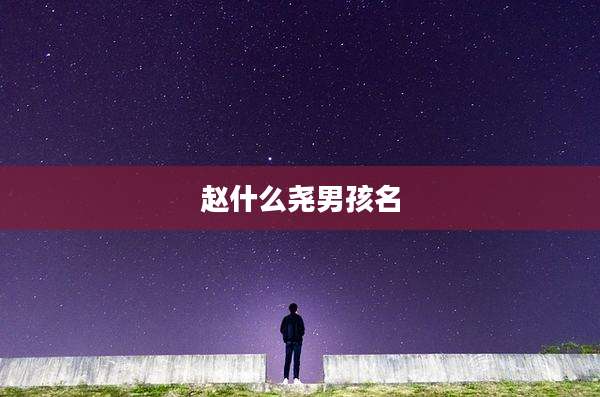 赵什么尧男孩名