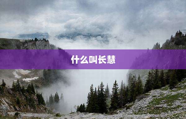 什么叫长慧