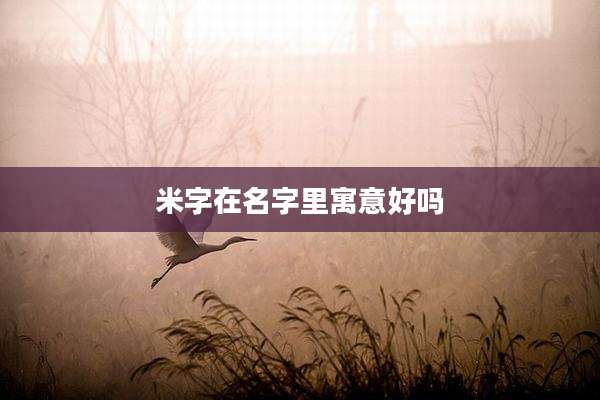 米字在名字里寓意好吗