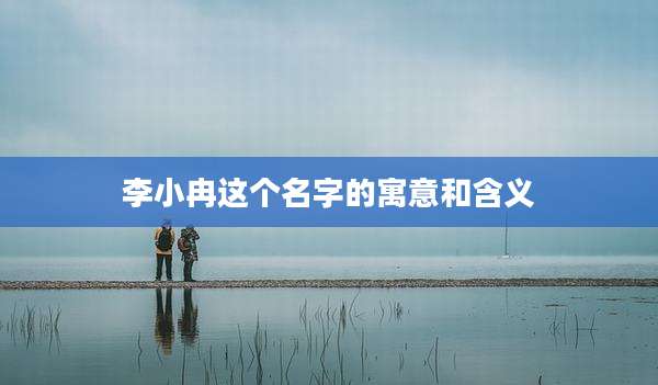 李小冉这个名字的寓意和含义