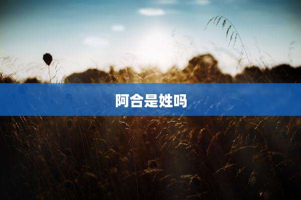 阿合是姓吗