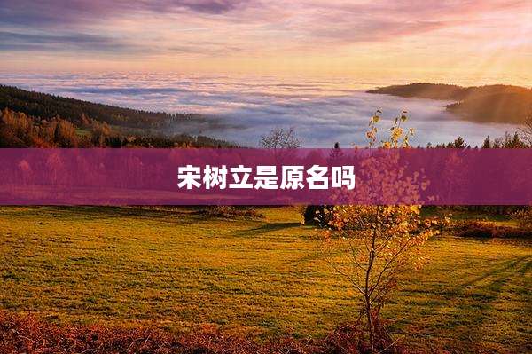 宋树立是原名吗