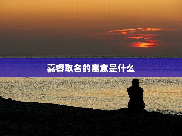 嘉睿取名的寓意是什么