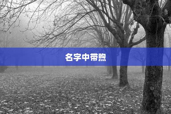 名字中带煦