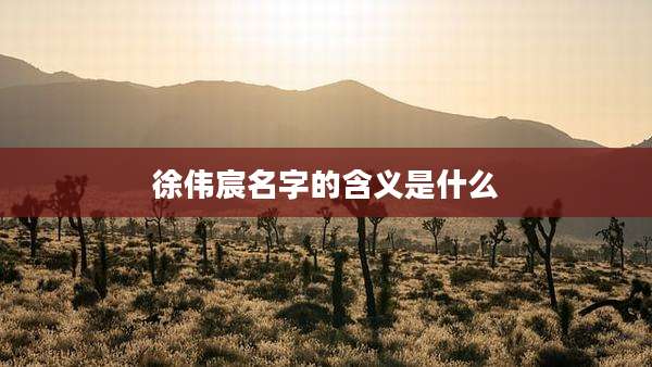 徐伟宸名字的含义是什么