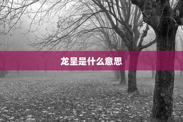 龙呈是什么意思