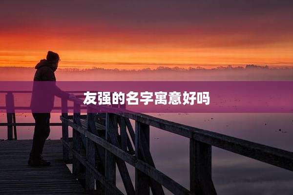 友强的名字寓意好吗