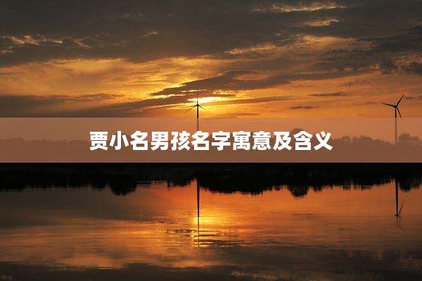 贾小名男孩名字寓意及含义