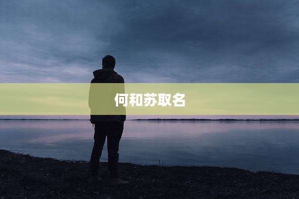 何和苏取名