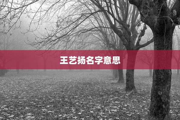 王艺扬名字意思