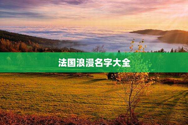 法国浪漫名字大全