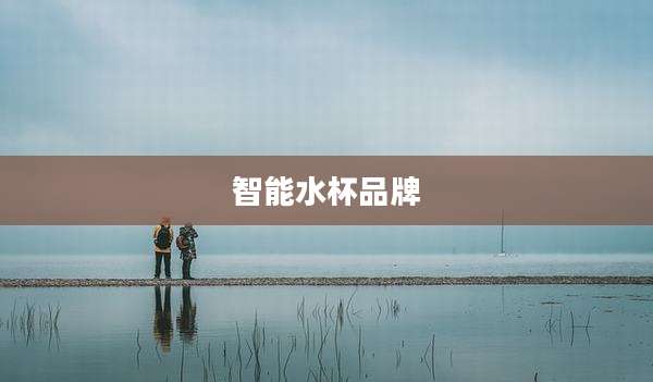 智能水杯品牌