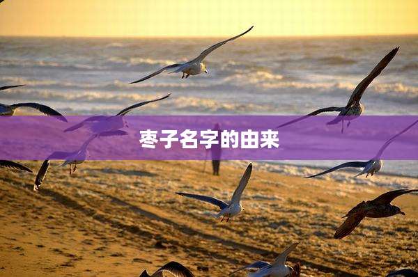 枣子名字的由来