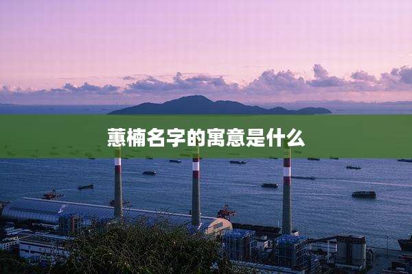 蕙楠名字的寓意是什么
