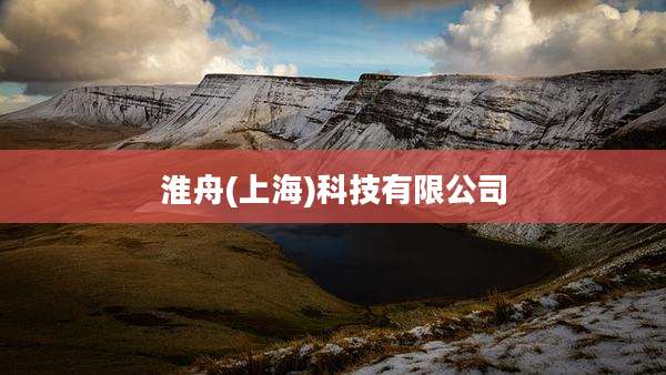 淮舟(上海)科技有限公司