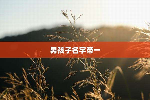 男孩子名字带一