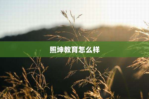 照坤教育怎么样