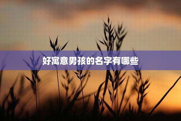 好寓意男孩的名字有哪些