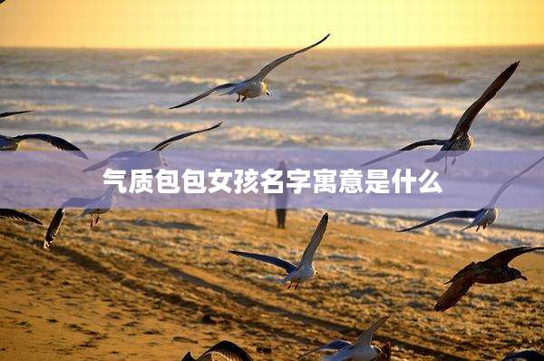 气质包包女孩名字寓意是什么