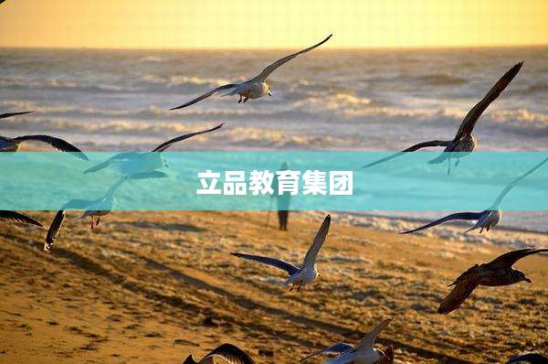 立品教育集团