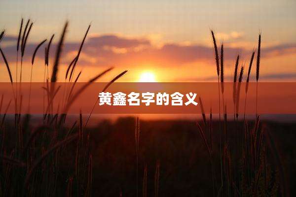 黄鑫名字的含义