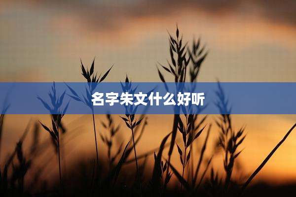 名字朱文什么好听