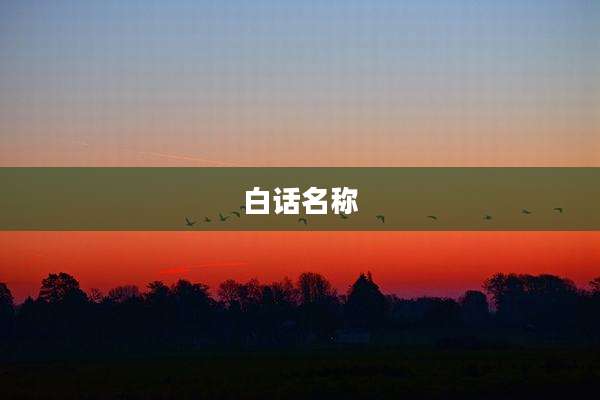 白话名称