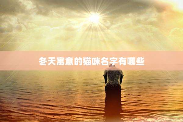 冬天寓意的猫咪名字有哪些