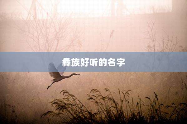 彝族好听的名字