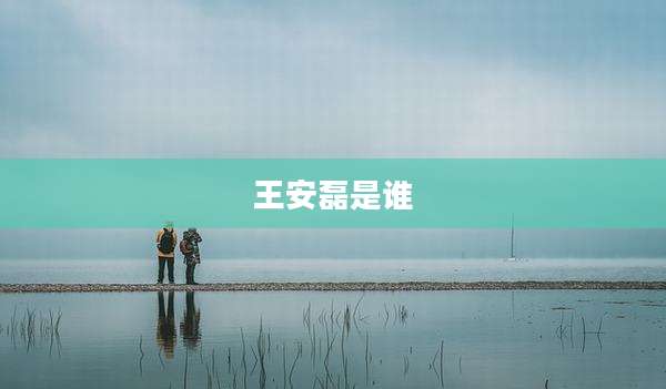 王安磊是谁