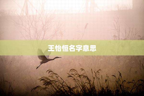 王怡恒名字意思
