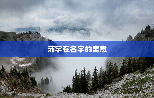沛字在名字的寓意